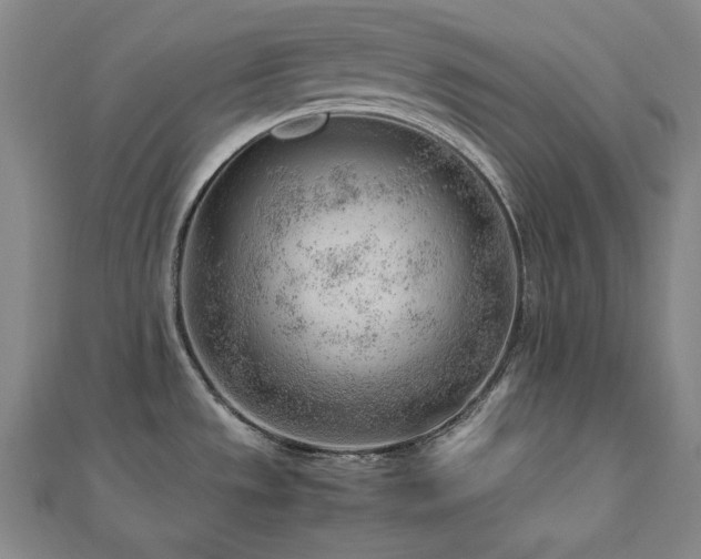 X0000112811533200908211133