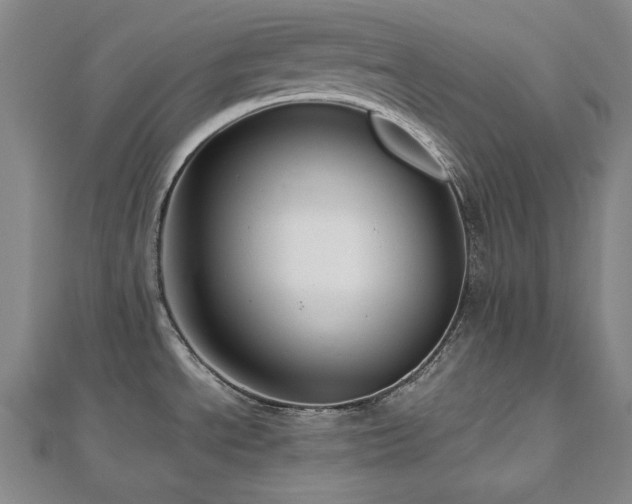 X0000112811534200908211133