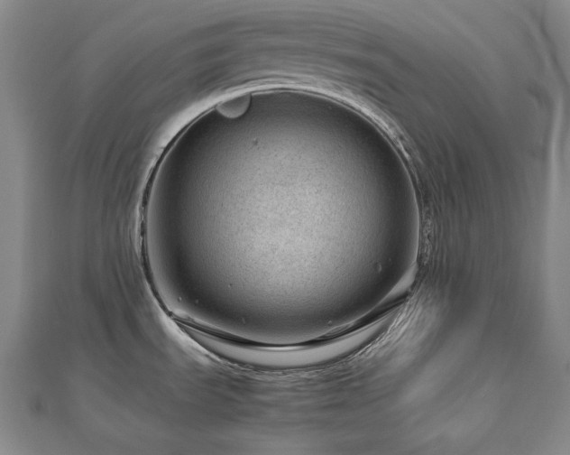 X0000112811535200908211133