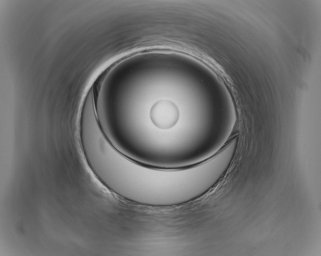 X0000112811536200908211133