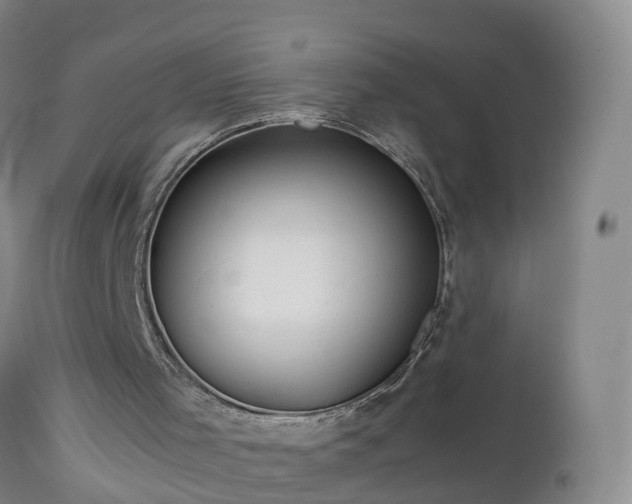 X0000112810001200908281518