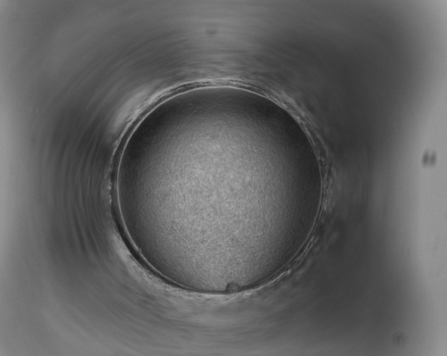 X0000112810002200908281518