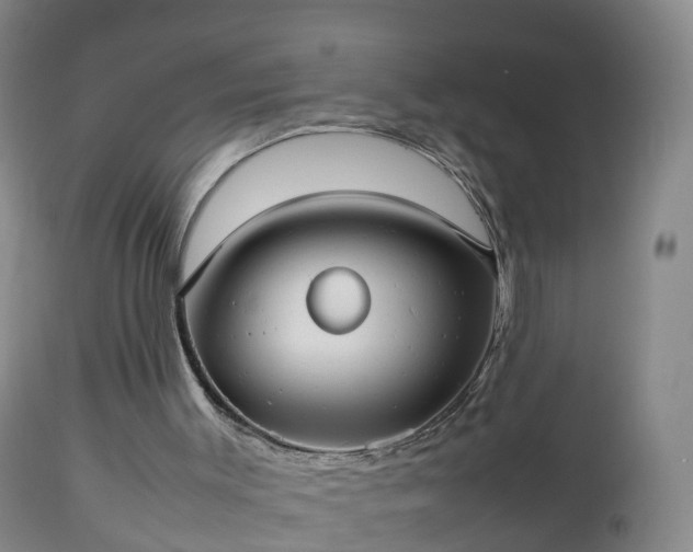 X0000112810003200908281518