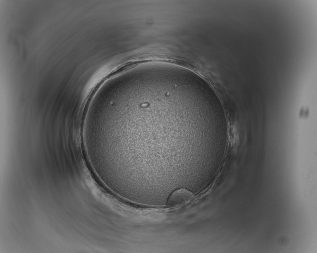 X0000112810004200908281518