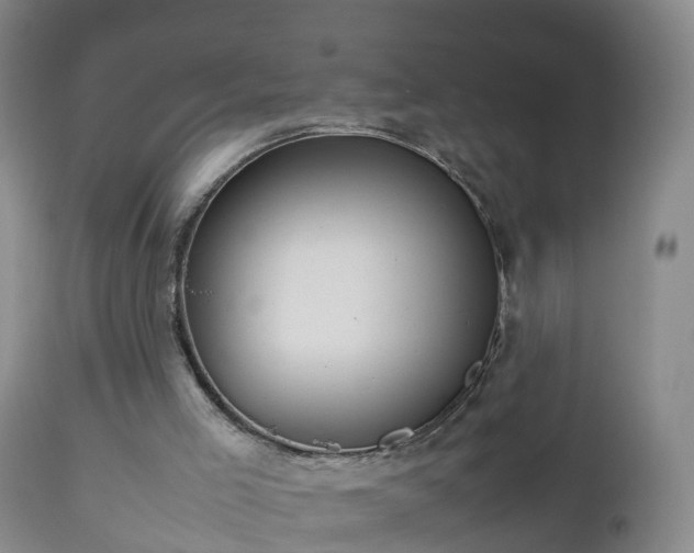 X0000112810005200908281518