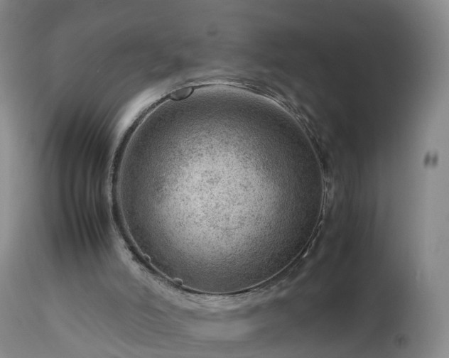 X0000112810006200908281518