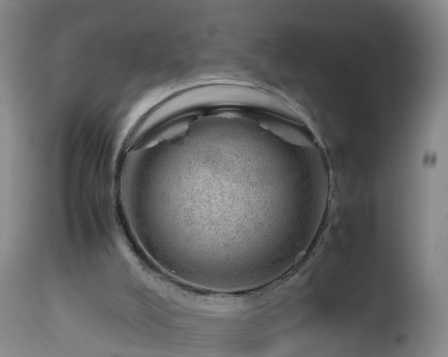 X0000112810008200908281518