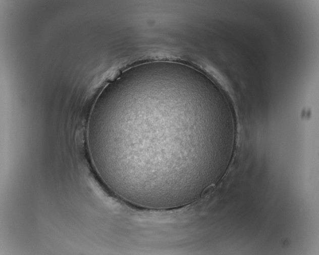 X0000112810009200908281518