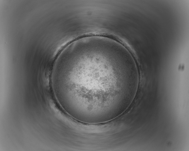 X0000112810010200908281518
