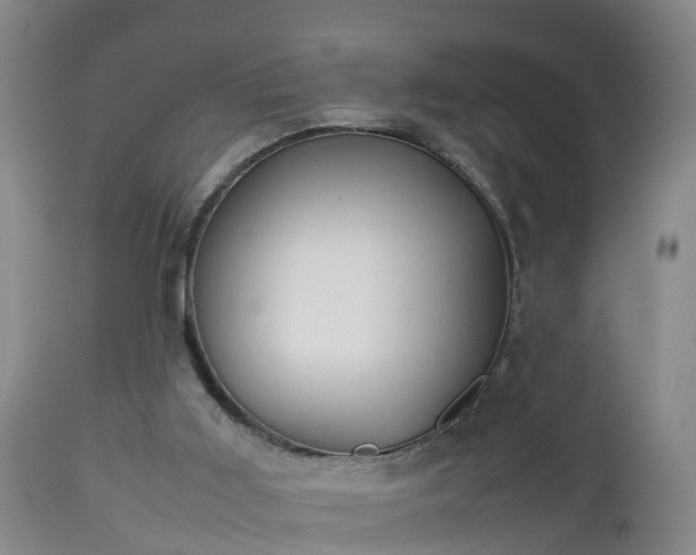 X0000112810011200908281518