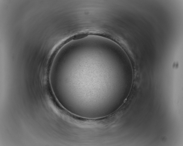 X0000112810012200908281518