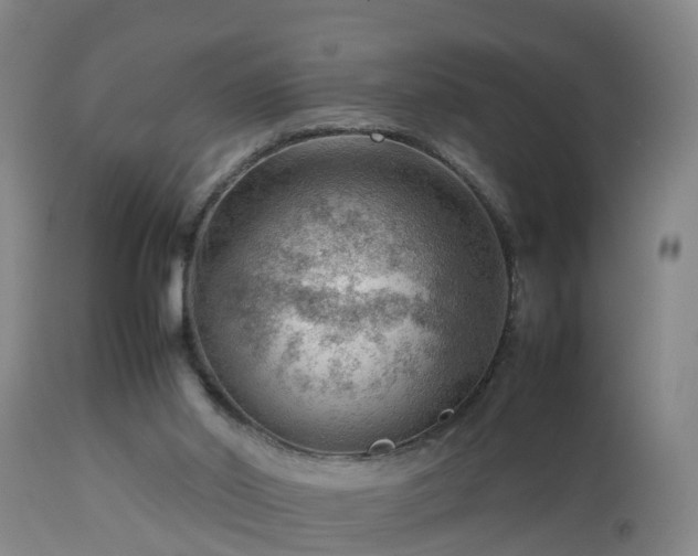 X0000112810014200908281518