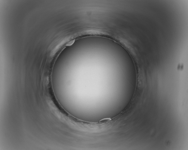 X0000112810015200908281518