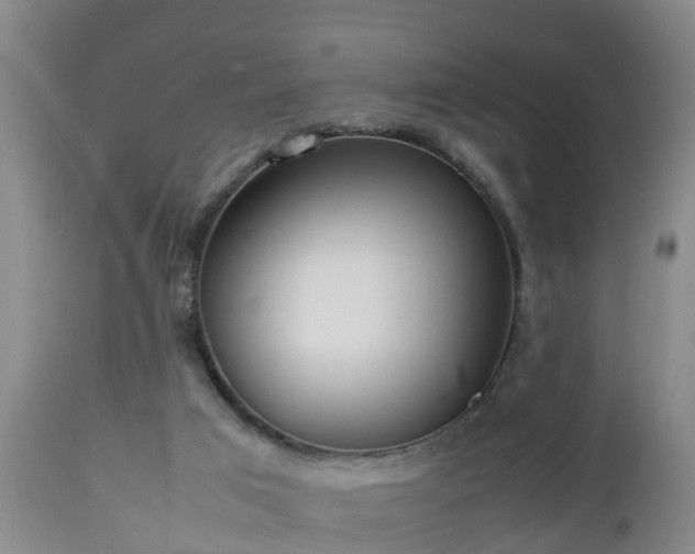 X0000112810017200908281518