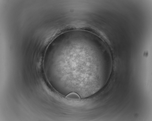 X0000112810018200908281518
