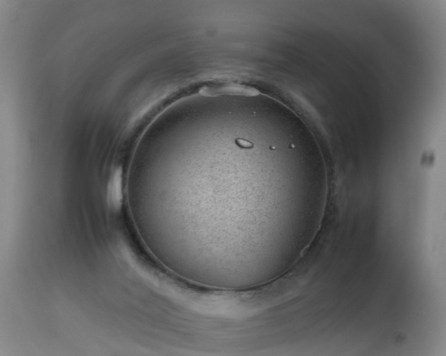 X0000112810020200908281518