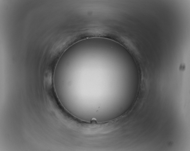 X0000112810021200908281518