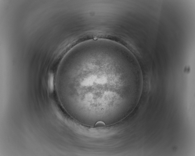 X0000112810022200908281518