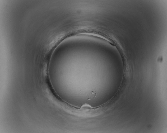 X0000112810023200908281518