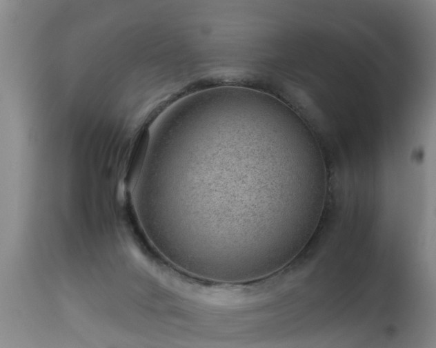 X0000112810024200908281518