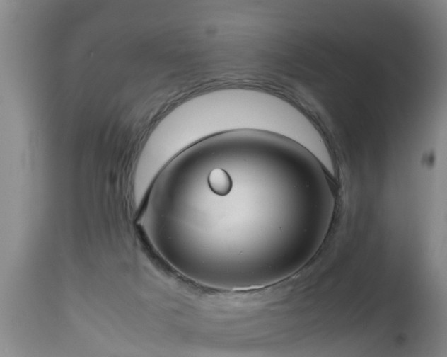 X0000112810025200908281518