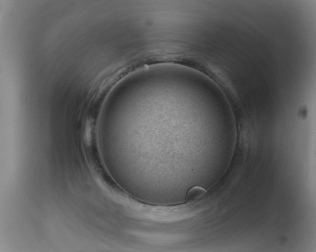 X0000112810026200908281518