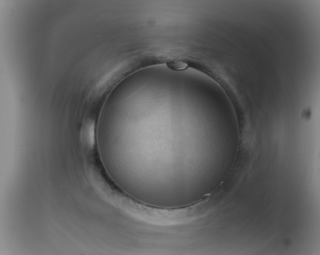 X0000112810027200908281518