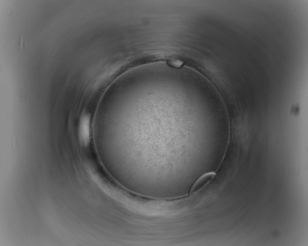 X0000112810028200908281517
