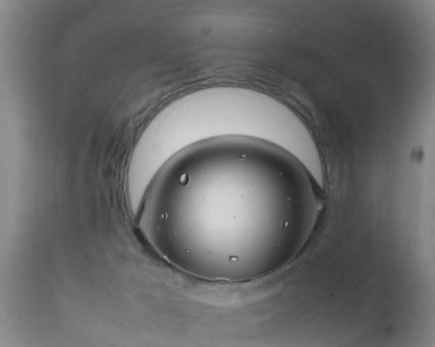X0000112810029200908281517