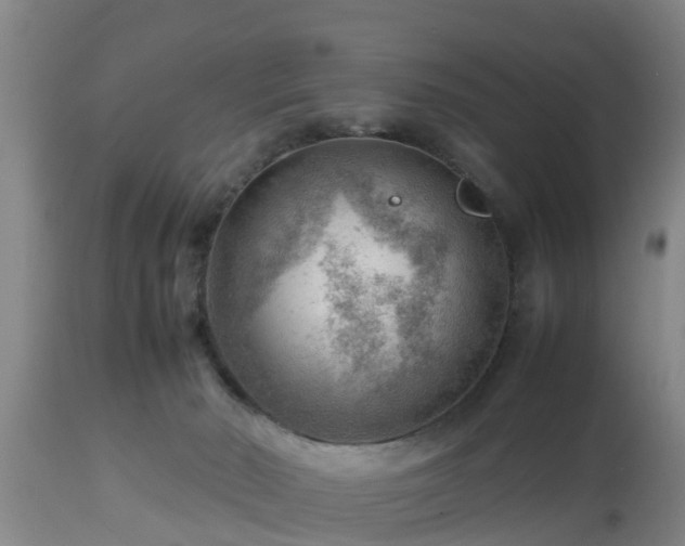 X0000112810030200908281517