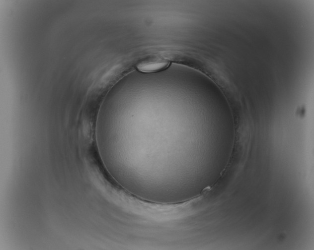 X0000112810031200908281517