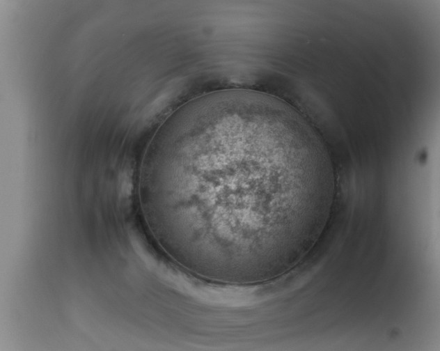 X0000112810032200908281517