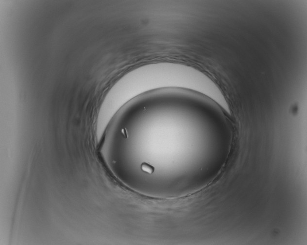 X0000112810033200908281517