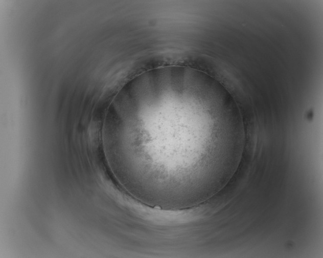 X0000112810034200908281517