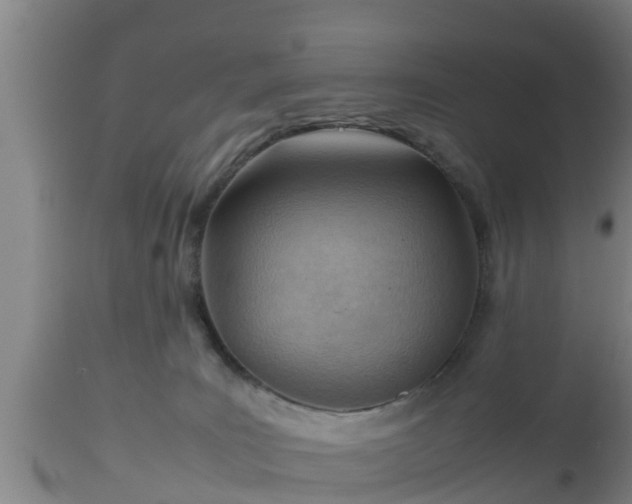 X0000112810035200908281517