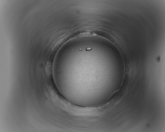 X0000112810036200908281517