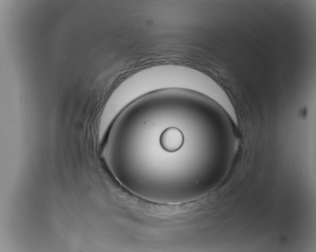 X0000112810037200908281517