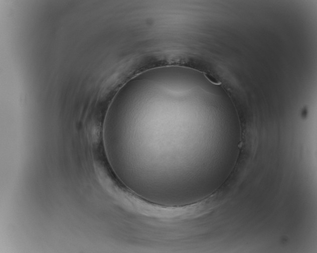 X0000112810039200908281517
