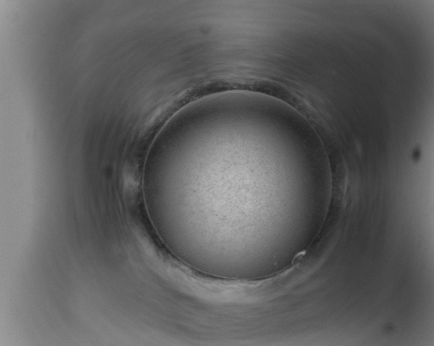 X0000112810040200908281517