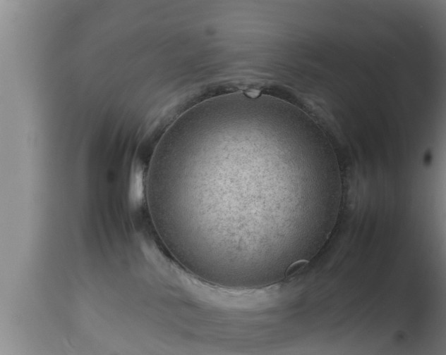 X0000112810042200908281517