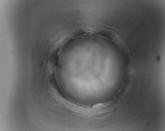 X0000112810043200908281517