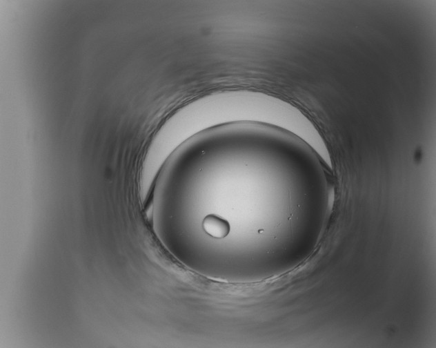 X0000112810045200908281517