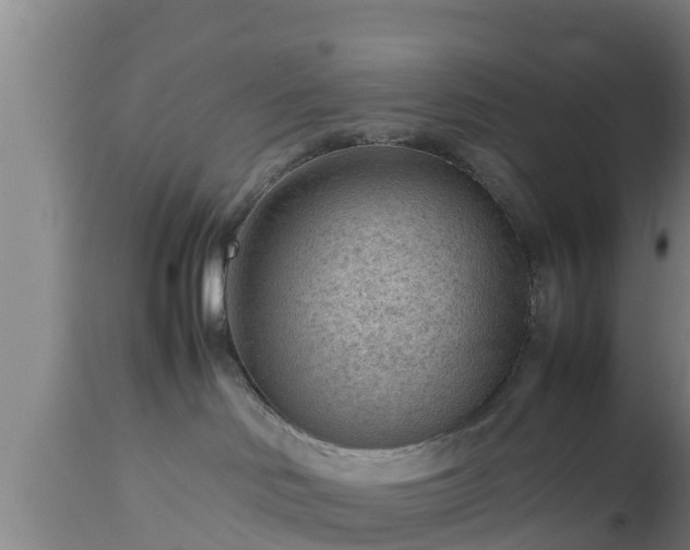 X0000112810046200908281517