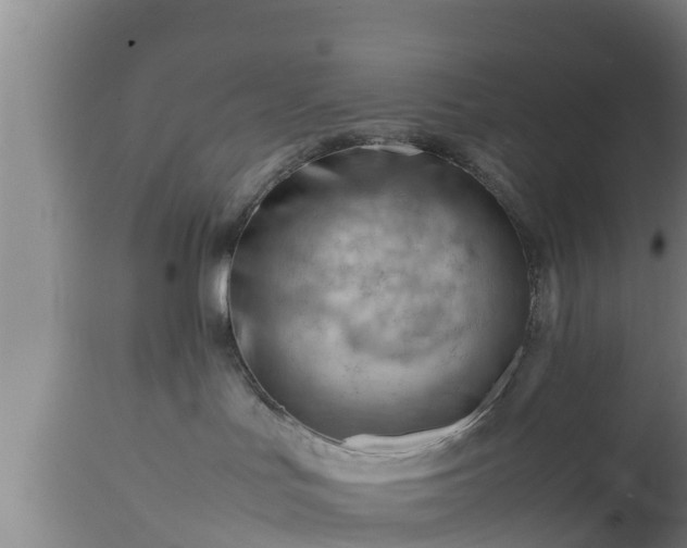 X0000112810047200908281517