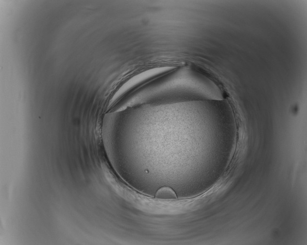 X0000112810048200908281517