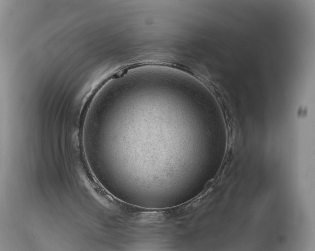 X0000112810050200908281516