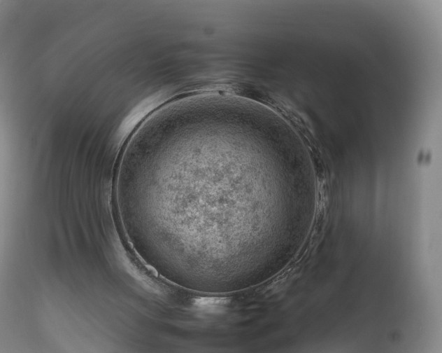 X0000112810051200908281516