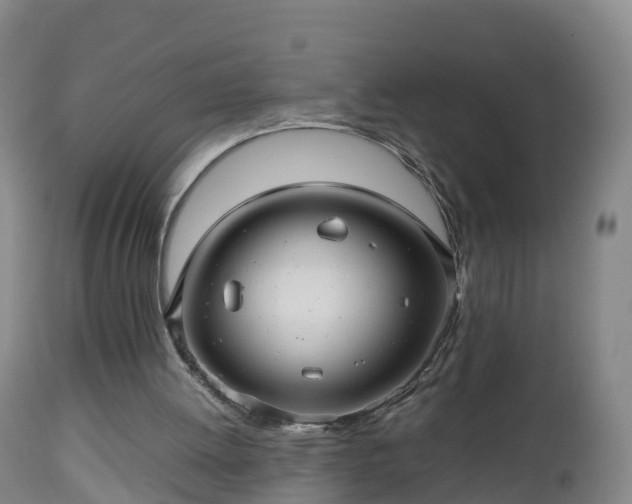 X0000112810052200908281516