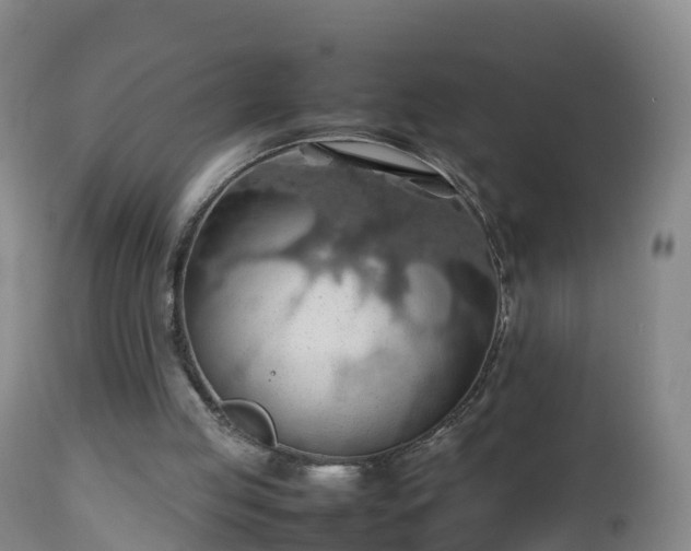 X0000112810053200908281516
