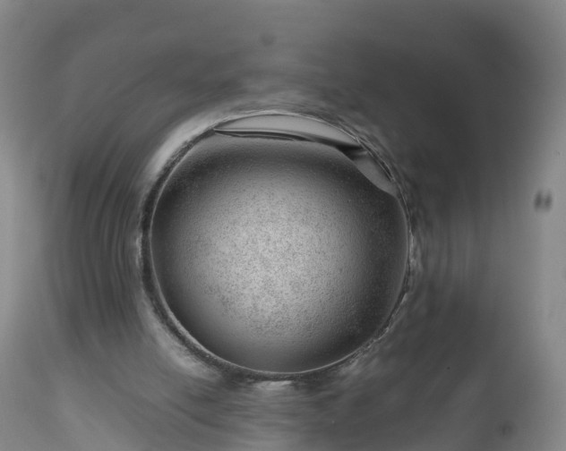 X0000112810054200908281516
